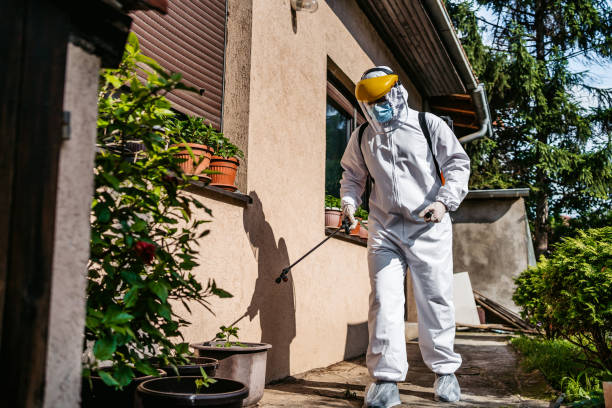 Best Local Pest Control Services  in Lacoochee, FL