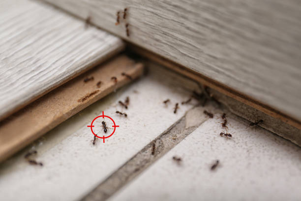 Lacoochee, FL Pest Control Company