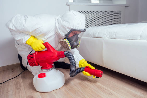 Best Affordable Pest Control Services  in Lacoochee, FL