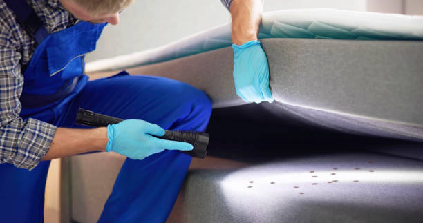Best Pest Control Treatment  in Lacoochee, FL