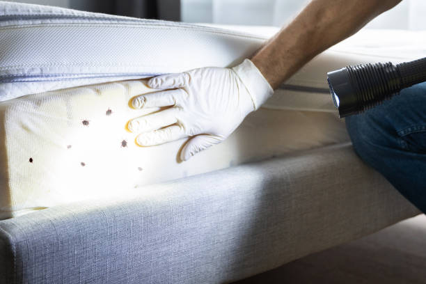 Best Residential Pest Control  in Lacoochee, FL
