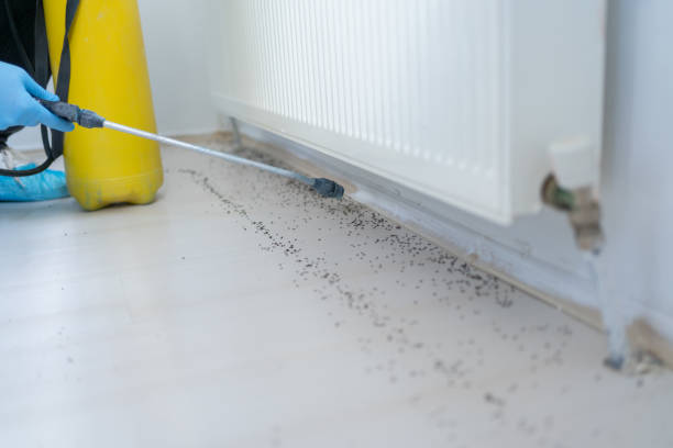 Best Pest Control Near Me  in Lacoochee, FL