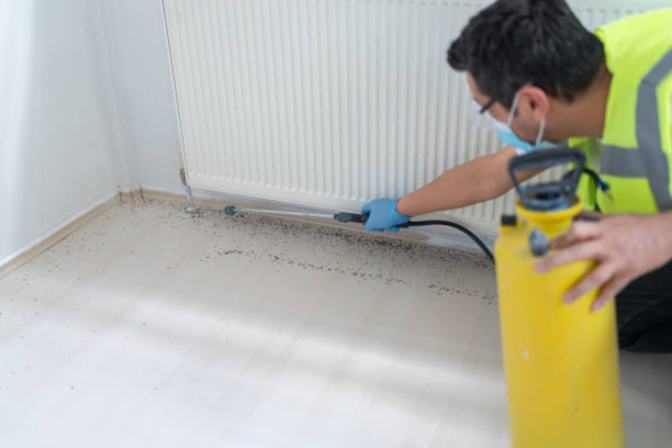 Best Best Pest Control Companies  in Lacoochee, FL